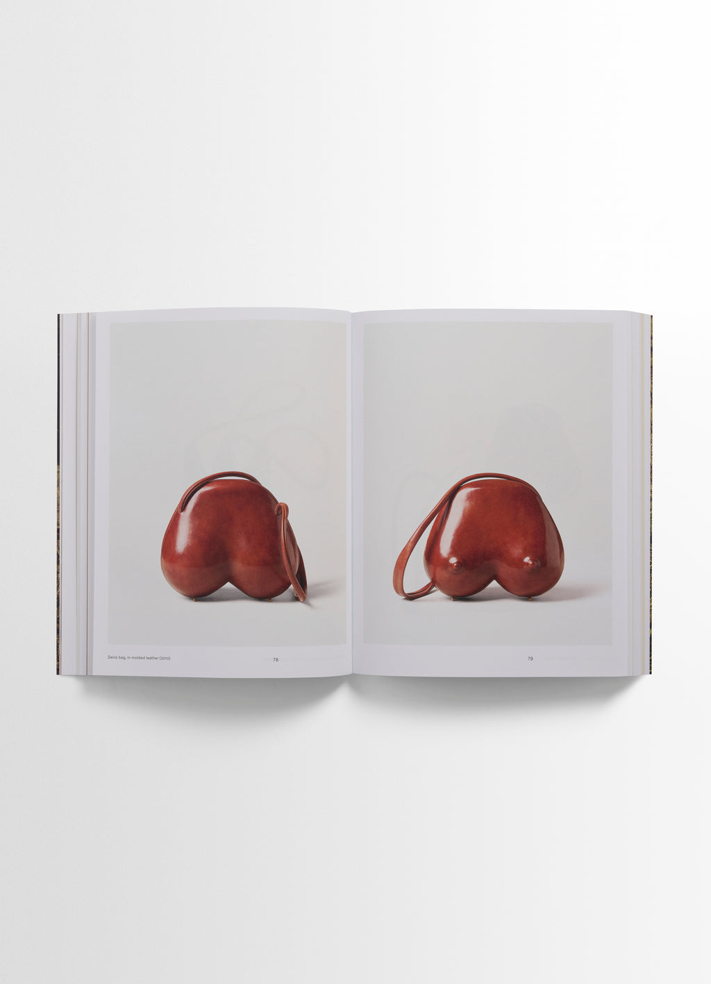 Carlos peñafiel book in molded leather, open spread view rich photographs