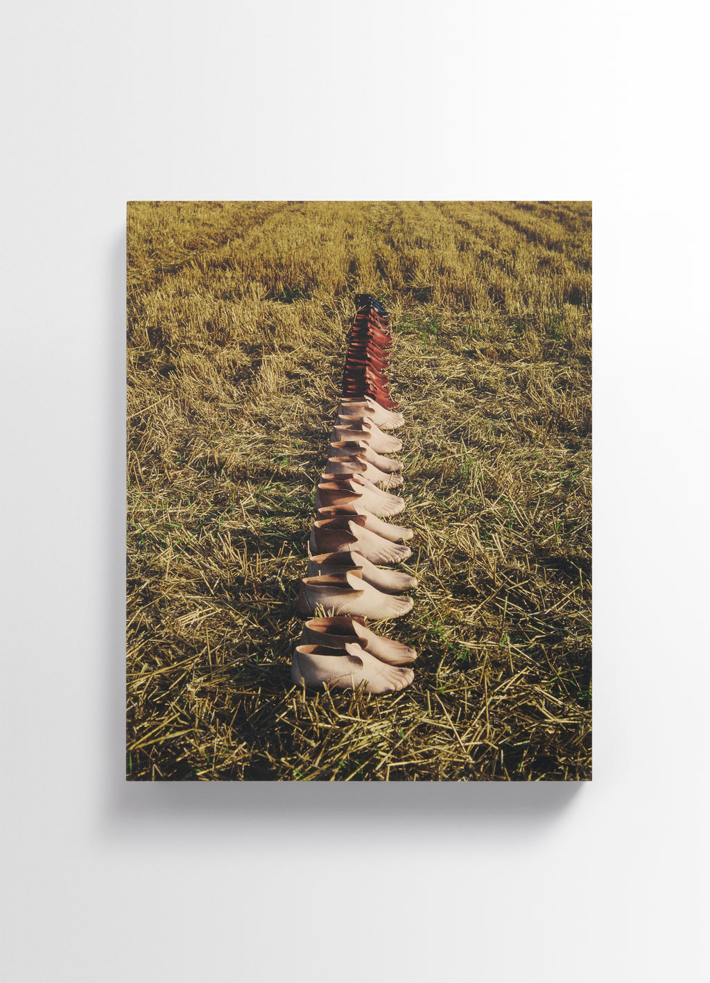 Carlos peñafiel book in molded leather, landscape perspective rustic outdoor display